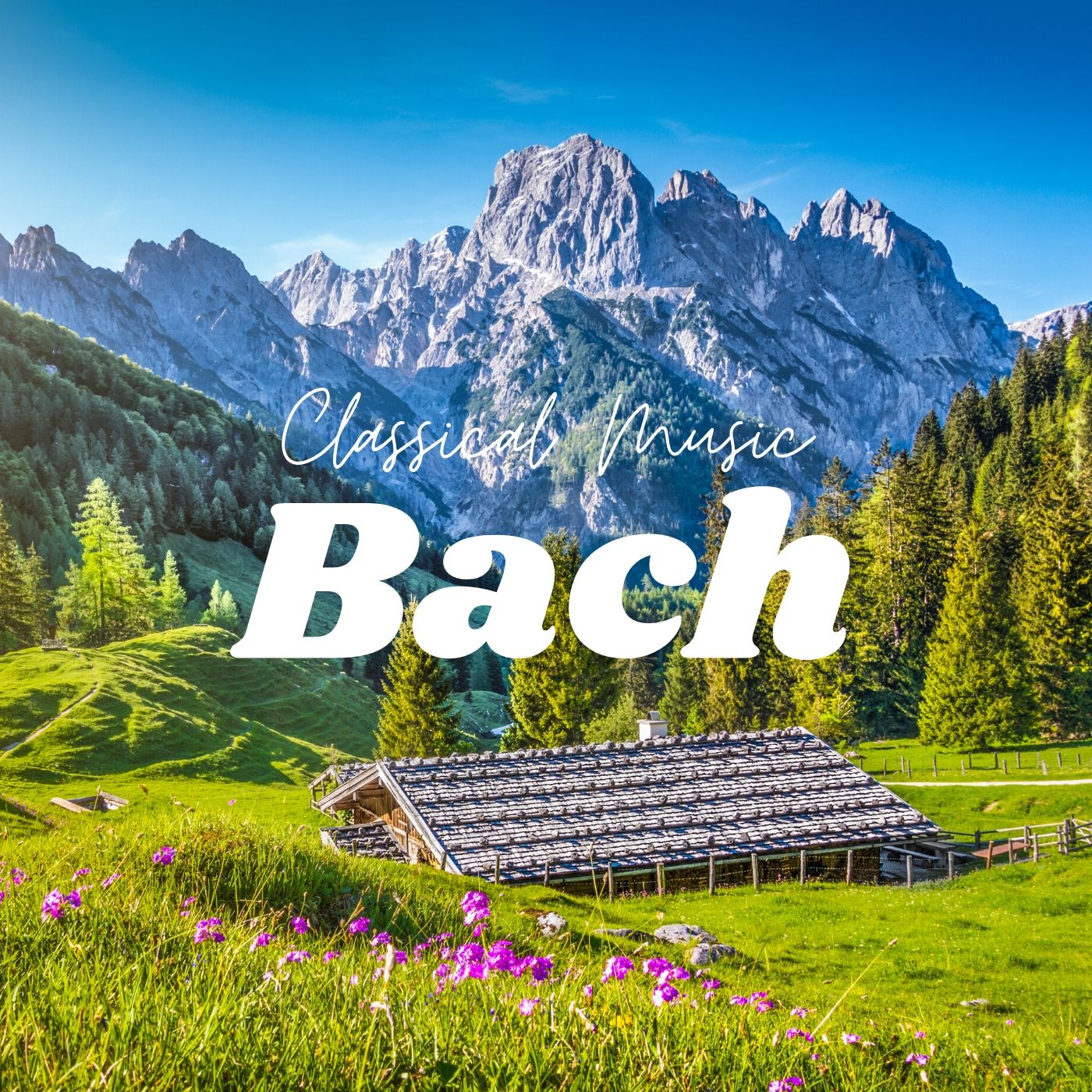 Bach - Relaxing Classical Music